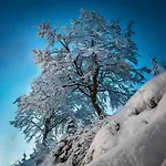 Zodiaco & Отель 3*