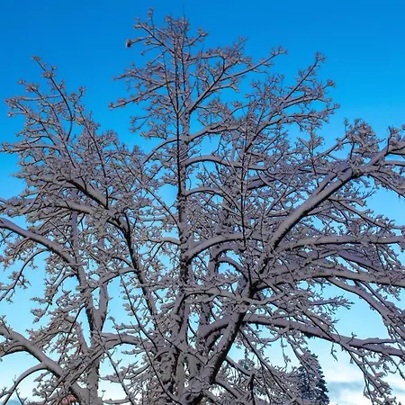 Отель Zodiaco & 3*