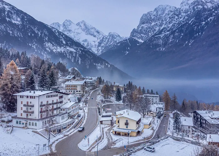 Отель Zodiaco &