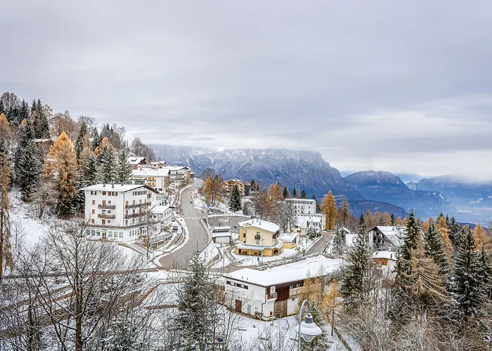 Отель Zodiaco & 3*