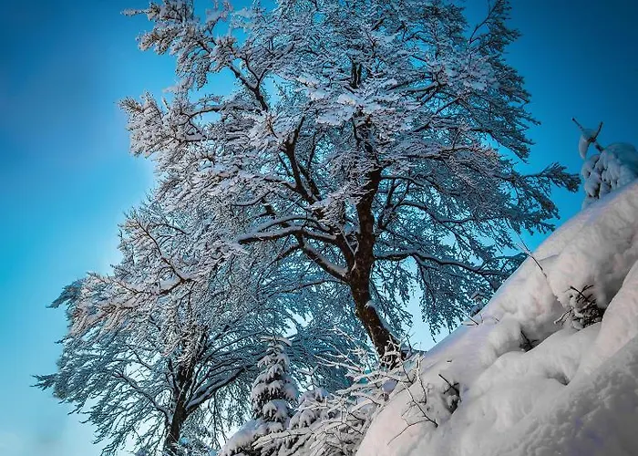 Zodiaco & מלון 3*