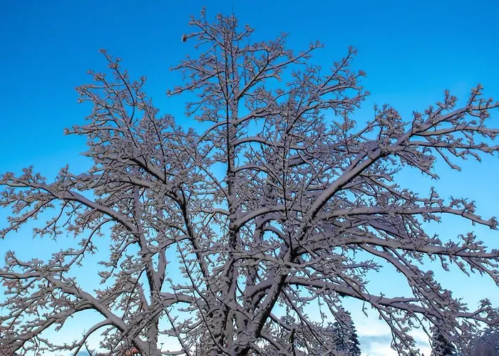 Отель Zodiaco & 3*